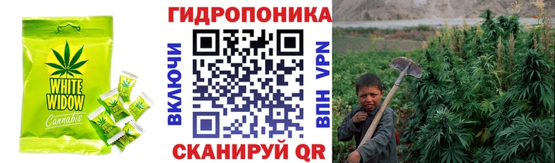 Cannafood марихуана  Купить  Новомичуринск 