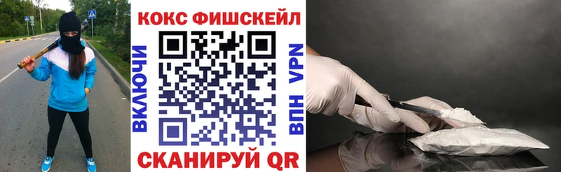КОКАИН Fish Scale  Купить где  Новомичуринск 