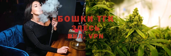 ешки Зеленокумск