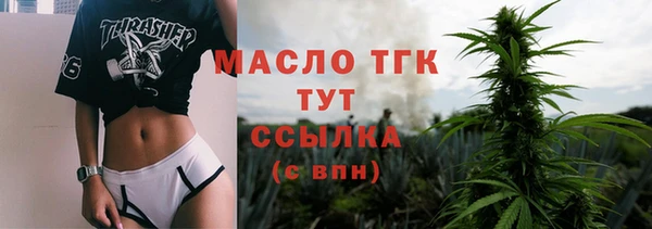 индика Иннополис