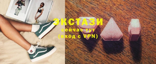 ECSTASY Инсар
