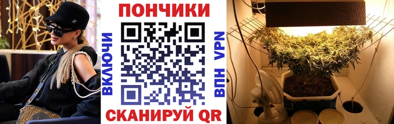 Купить где  Новомичуринск  Шишки марихуана OG Kush 